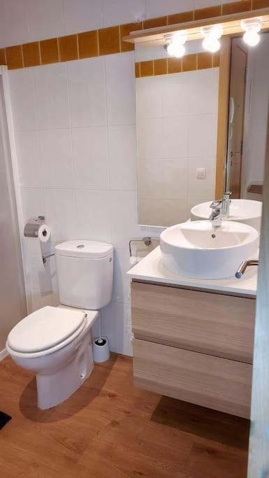 Precioso Apartamento Duplex En El Centro De Olot Apartment Bagian luar foto